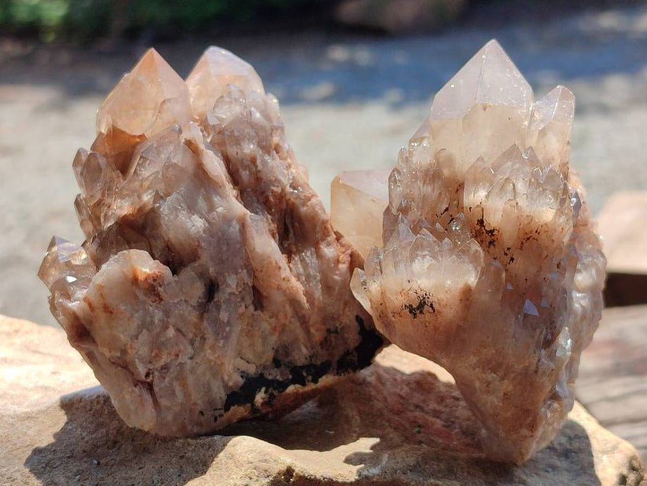 Natural Smokey Phantom Quartz Clusters x 6 From Luena, Congo