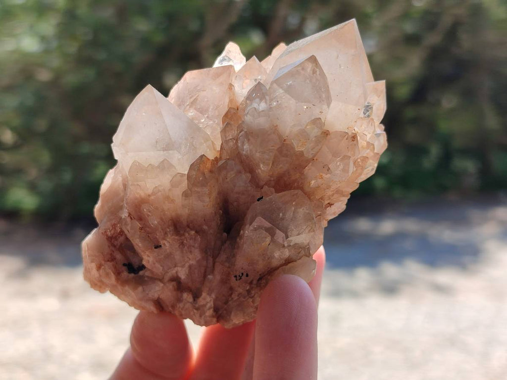 Natural Smokey Phantom Quartz Clusters x 6 From Luena, Congo
