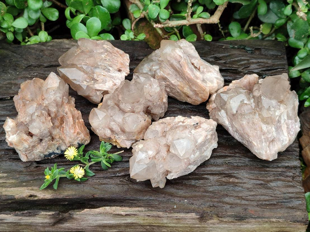 Natural Smokey Phantom Quartz Clusters x 6 From Luena, Congo