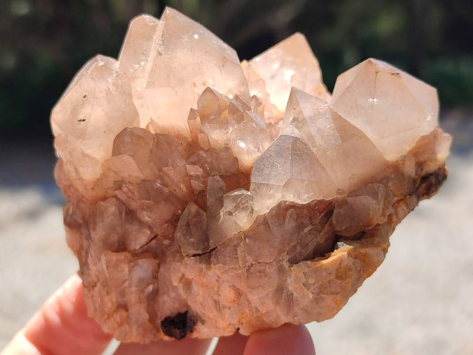 Natural Smokey Phantom Quartz Clusters x 6 From Luena, Congo