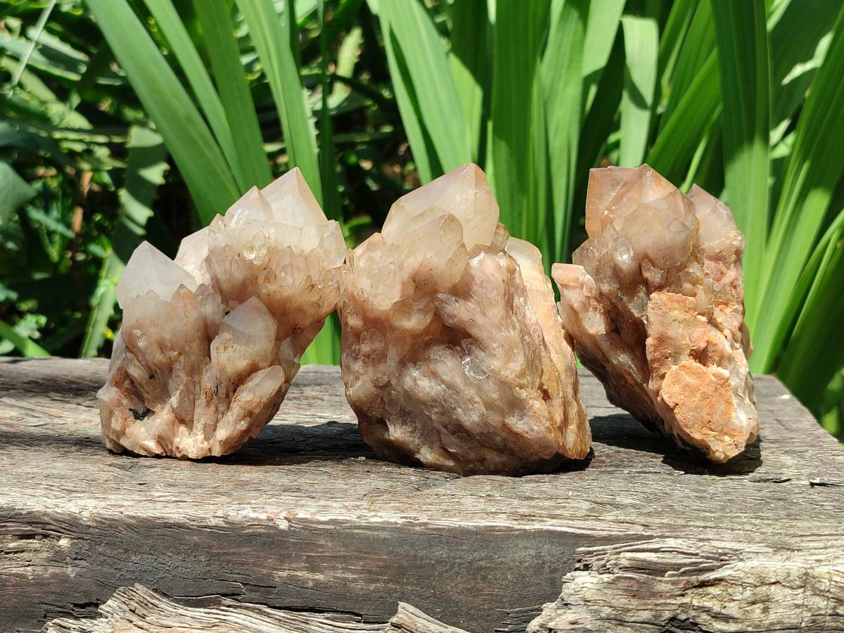 Natural Smokey Phantom Quartz Clusters x 6 From Luena, Congo