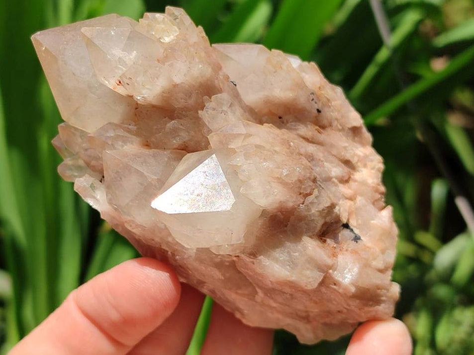 Natural Smokey Phantom Quartz Clusters x 6 From Luena, Congo