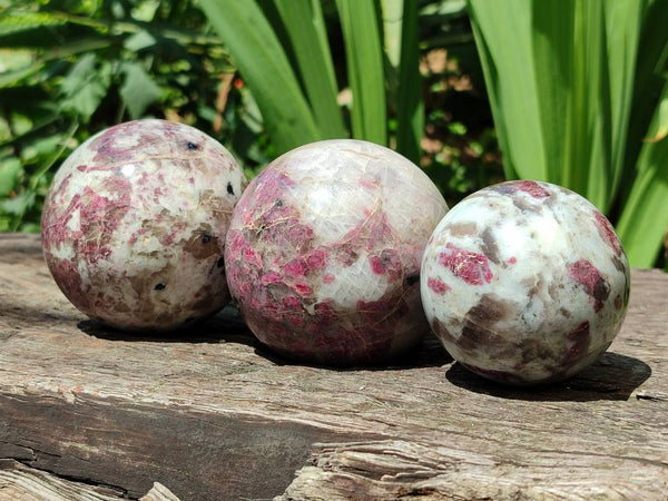 Polished Rubellite Pink Tourmaline Spheres x 6 From Ambatondrazaka, Madagascar