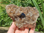 Natural Smokey Quartz With Schorl Black Tourmaline Specimens x 2 From Erongo, Namibia