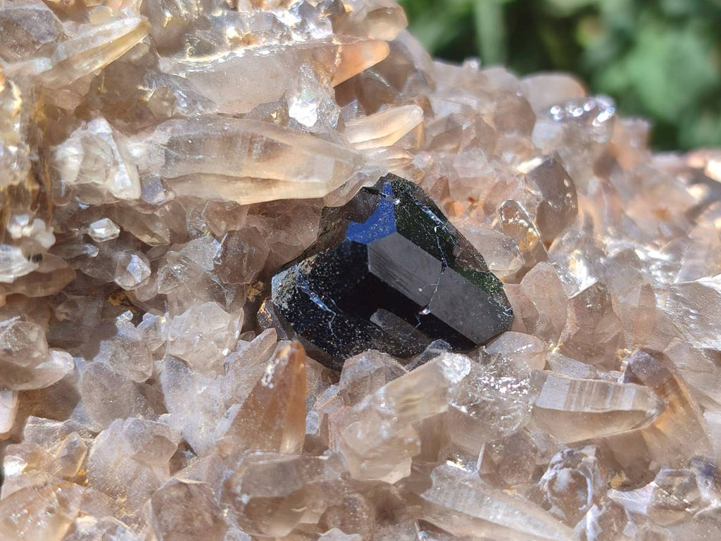 Natural Smokey Quartz With Schorl Black Tourmaline Specimens x 2 From Erongo, Namibia