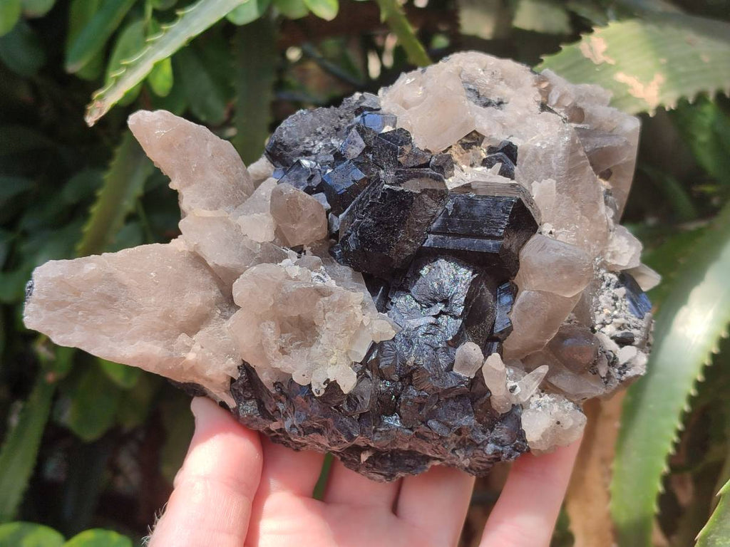 Natural Smokey Quartz With Schorl Black Tourmaline Specimens x 2 From Erongo, Namibia