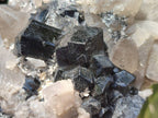 Natural Smokey Quartz With Schorl Black Tourmaline Specimens x 2 From Erongo, Namibia