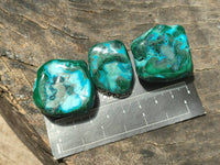 Polished Malacolla Free Forms x 35 From Kulukuluku, Congo