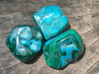 Polished Malacolla Free Forms x 35 From Kulukuluku, Congo