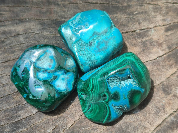 Polished Malacolla Free Forms x 35 From Kulukuluku, Congo