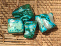 Polished Malacolla Free Forms x 35 From Kulukuluku, Congo