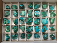 Polished Malacolla Free Forms x 35 From Kulukuluku, Congo