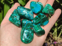 Polished Malacolla Free Forms x 35 From Kulukuluku, Congo