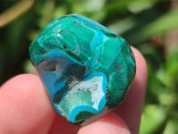 Polished Malacolla Free Forms x 35 From Kulukuluku, Congo
