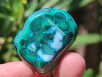 Polished Malacolla Free Forms x 35 From Kulukuluku, Congo