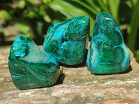 Polished Malacolla Free Forms x 35 From Kulukuluku, Congo