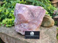Natural XL Cobbed Rose Quartz Specimen x 1 From Northern Cape, South Africa