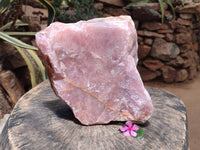Natural XL Cobbed Rose Quartz Specimen x 1 From Northern Cape, South Africa