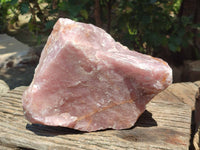Natural XL Cobbed Rose Quartz Specimen x 1 From Northern Cape, South Africa