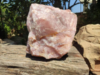 Natural XL Cobbed Rose Quartz Specimen x 1 From Northern Cape, South Africa