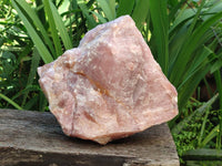 Natural XL Cobbed Rose Quartz Specimen x 1 From Northern Cape, South Africa
