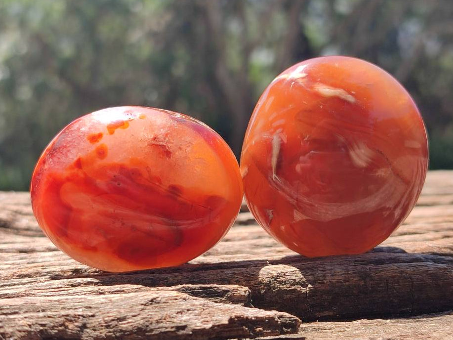 Polished Carnelian Agate Gemstone Galets x 20 From Madagascar