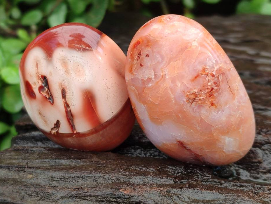 Polished Carnelian Agate Gemstone Galets x 20 From Madagascar