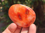 Polished Carnelian Agate Gemstone Galets x 20 From Madagascar