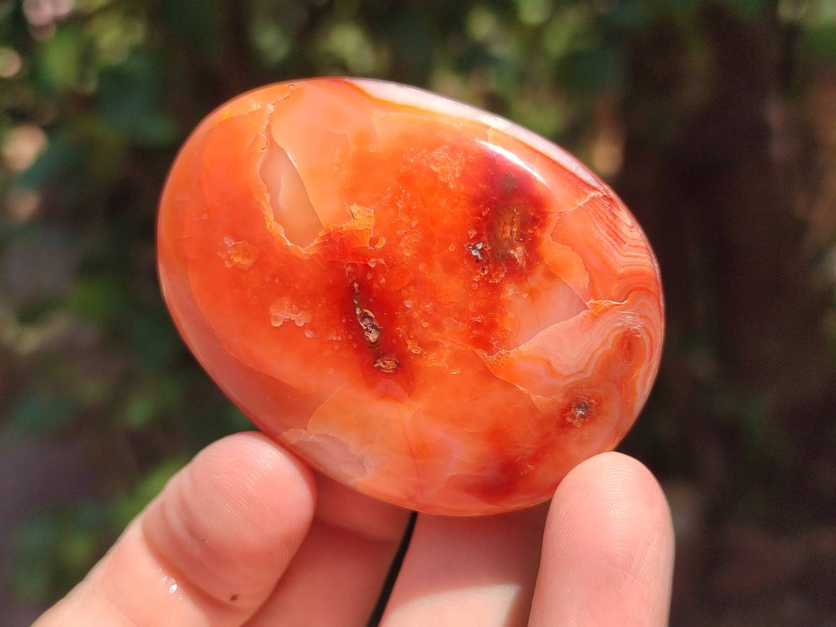 Polished Carnelian Agate Gemstone Galets x 20 From Madagascar