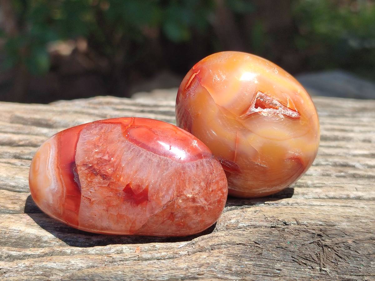 Polished Carnelian Agate Gemstone Galets x 20 From Madagascar
