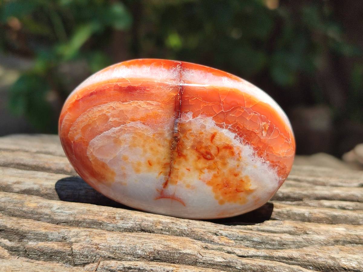 Polished Carnelian Agate Gemstone Galets x 20 From Madagascar