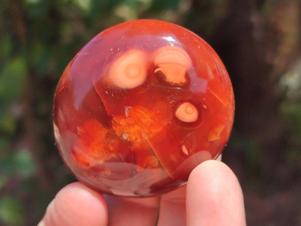 Polished Carnelian Agate Gemstone Galets x 20 From Madagascar