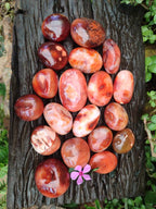 Polished Carnelian Agate Gemstone Galets x 20 From Madagascar