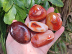 Polished Carnelian Agate Gemstone Galets x 20 From Madagascar