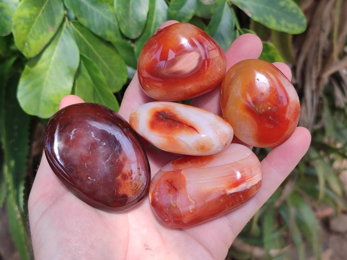 Polished Carnelian Agate Gemstone Galets x 20 From Madagascar