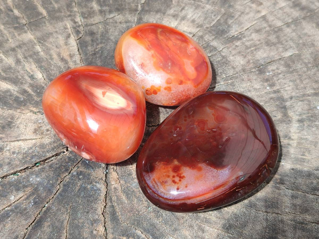 Polished Carnelian Agate Gemstone Galets x 20 From Madagascar