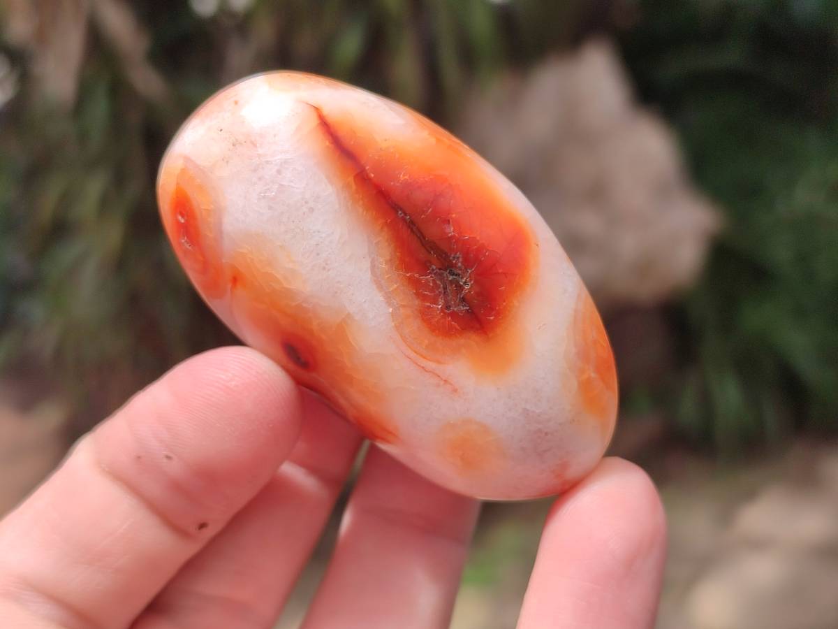 Polished Carnelian Agate Gemstone Galets x 20 From Madagascar