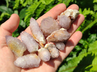 Natural Amethyst Spirit Crystals x 35 From Boekenhouthoek, South Africa