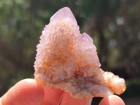 Natural Amethyst Spirit Crystals x 35 From Boekenhouthoek, South Africa