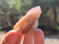 Natural Amethyst Spirit Crystals x 35 From Boekenhouthoek, South Africa