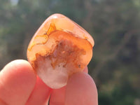 Polished Flower Agate Free Forms x 35 From Antsahalova, Madagascar