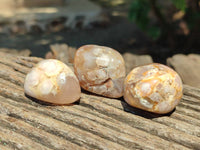 Polished Flower Agate Free Forms x 35 From Antsahalova, Madagascar
