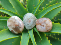 Polished Flower Agate Free Forms x 35 From Antsahalova, Madagascar