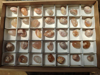 Polished Flower Agate Free Forms x 35 From Antsahalova, Madagascar