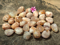 Polished Flower Agate Free Forms x 35 From Antsahalova, Madagascar