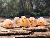 Polished Flower Agate Free Forms x 35 From Antsahalova, Madagascar