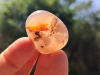 Polished Flower Agate Free Forms x 35 From Antsahalova, Madagascar