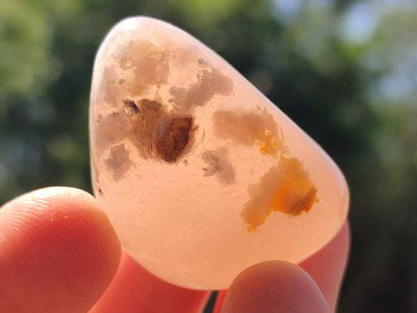 Polished Flower Agate Free Forms x 35 From Antsahalova, Madagascar