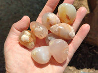 Polished Flower Agate Free Forms x 35 From Antsahalova, Madagascar