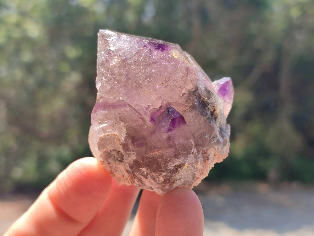 Natural Amethyst Window Quartz Crystals x 5 From Brandberg, Namibia